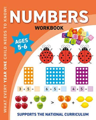 Cover image for 9781839238956 - Numbers Workbook