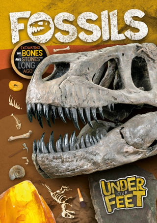 Cover image for 9781839271885 - Fossils