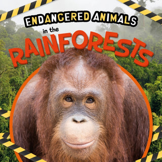 Cover image for 9781839274626 - In the Rainforests