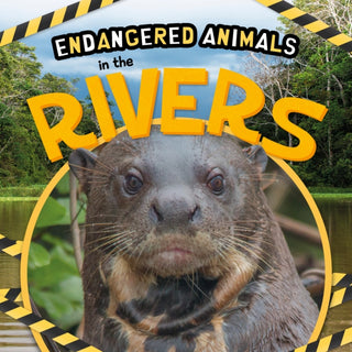 Supplemental image for 9781839274640 - In the Rivers
