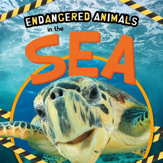 Supplemental image for 9781839274657 - In the Sea