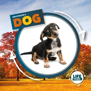 Cover image for 9781839274749 - Life Cycle of a Dog