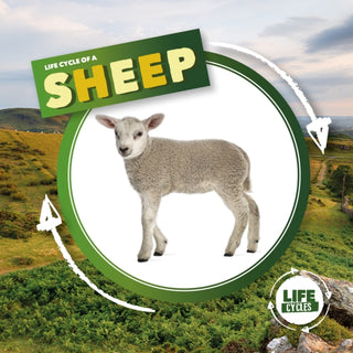 Cover image for 9781839274756 - Life Cycle of a Sheep