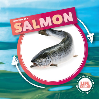 Cover image for 9781839274787 - Life Cycle Of A Salmon