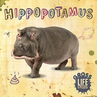 Cover image for 9781839274794 - Hippopotamus