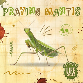 Cover image for 9781839274817 - Praying Mantis