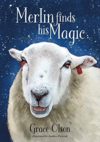 Supplemental image for 9781839527357 - Merlin finds his Magic