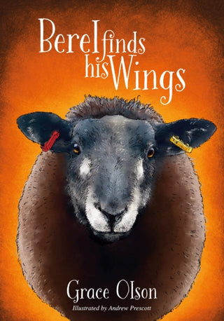 Cover image for 9781839528804 - Berel Finds His Wings