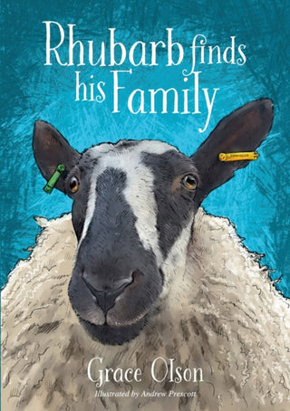 Cover image for 9781839529313 - Rhubarb Finds His Family