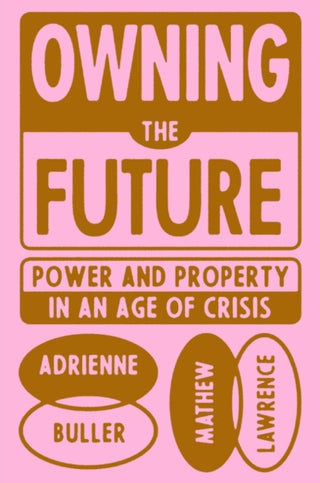 Cover image for 9781839765803 - Owning the Future