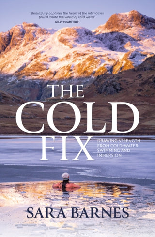 Cover image for 9781839811586 - The Cold Fix