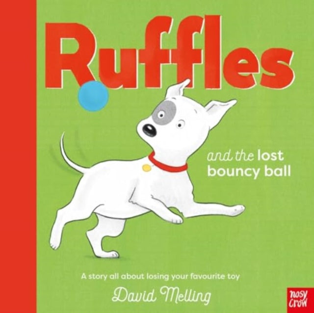 Cover image for 9781839947674 - Ruffles and the Lost Bouncy Ball