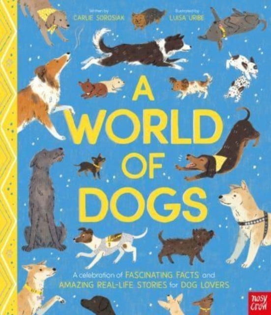 Cover image for 9781839948497 - A World of Dogs