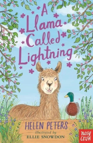 Supplemental image for 9781839948725 - A Llama Called Lightning