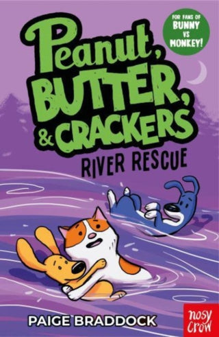 Cover image for 9781839949913 - River Rescue