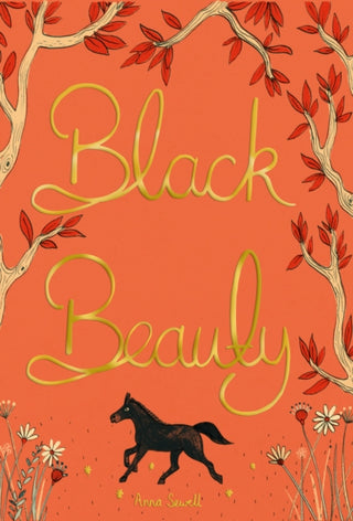 Cover image for 9781840227871 - Black Beauty