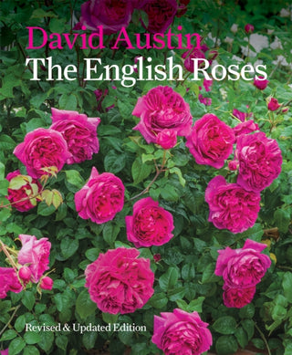 Cover image for 9781840917512 - The English Roses