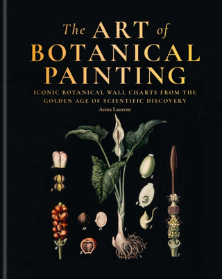Cover image for 9781840918953 - The Art of Botanical Painting