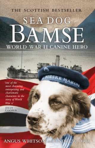 Cover image for 9781841588490 - Sea Dog Bamse