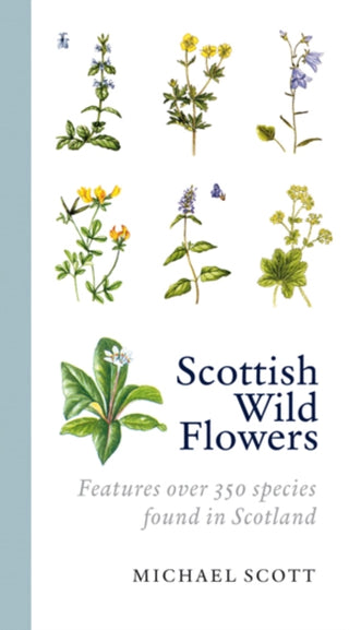 Cover image for 9781841589534 - Scottish Wild Flowers