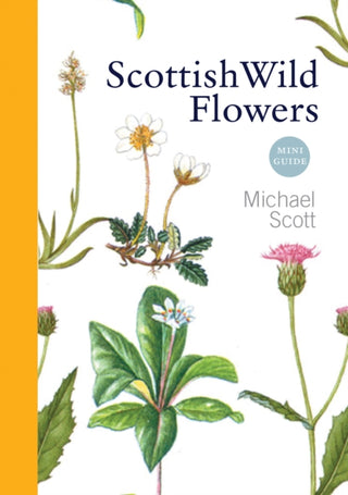 Cover image for 9781841589541 - Scottish Wild Flowers