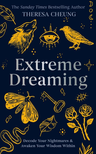 Cover image for 9781841816166 - Extreme Dreaming