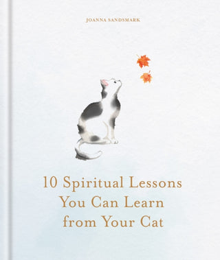 Cover image for 9781841816517 - 10 Spiritual Lessons You Can Learn from Your Cat