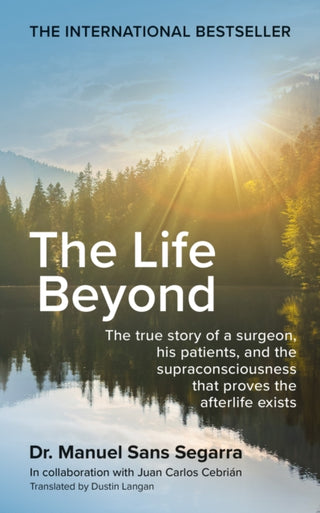 Cover image for 9781841816845 - The Life Beyond