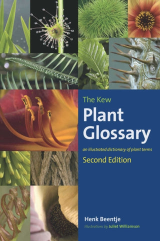 Cover image for 9781842466049 - Kew Plant Glossary, The