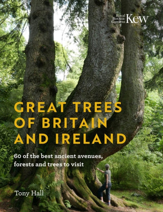 Cover image for 9781842467466 - Great Trees of Britain and Ireland