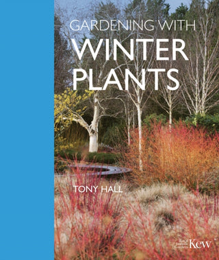 Supplemental image for 9781842467947 - Gardening with Winter Plants