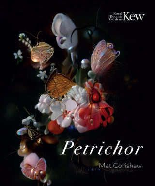 Cover image for 9781842468005 - Petrichor