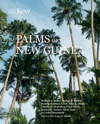 Cover image for 9781842468104 - Palms of New Guinea
