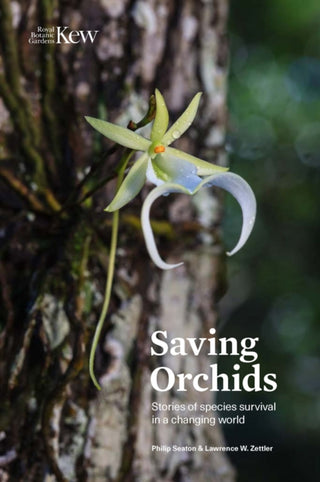 Cover image for 9781842468319 - Saving Orchids