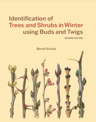 Cover image for 9781842468340 - Identification of Trees and Shrubs in Winter using Buds and Twigs