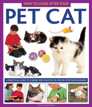 Cover image for 9781843227328 - How To Look After Your Pet Cat