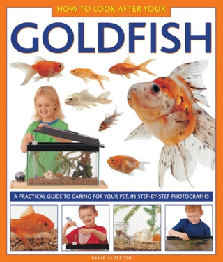 Cover image for 9781843227335 - How to Look After Your Goldfish