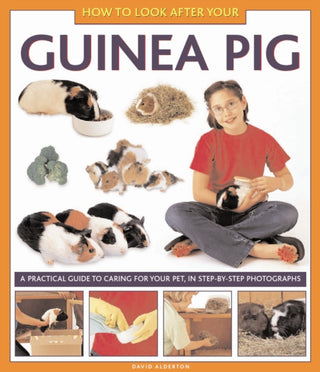 Cover image for 9781843227687 - How to Look After Your Guinea Pig