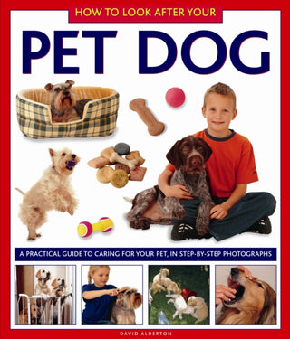 Cover image for 9781843228394 - How to Look After Your Pet Dog