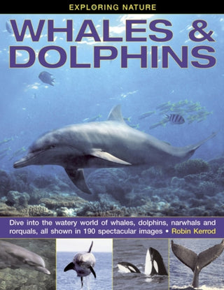 Cover image for 9781843229124 - Exploring Nature: Whales & Dolphins: Dive into the Watery World of Whales, Dolphins, Narwhals and Rorquals, All Shown in 190 Spectacular Images