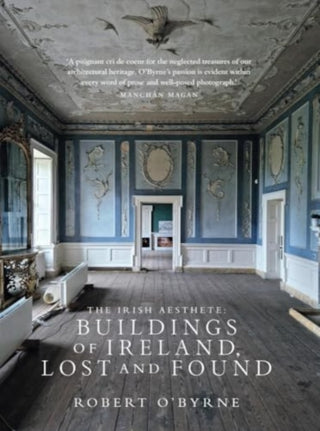 Cover image for 9781843518860 - The Irish Aesthete