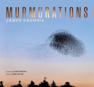 Cover image for 9781843519119 - Murmurations