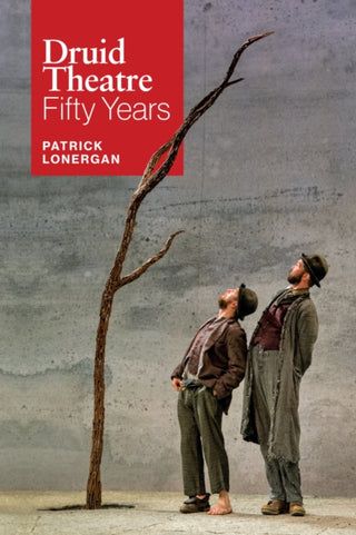 Cover image for 9781843519584 - Druid Theatre