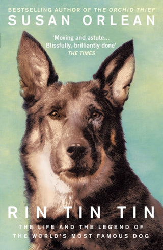 Cover image for 9781843547099 - Rin Tin Tin