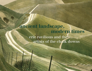 Cover image for 9781843682943 - Ancient Landscape, Modern Times