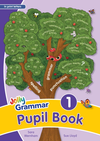 Cover image for 9781844142927 - Grammar 1 Pupil Book
