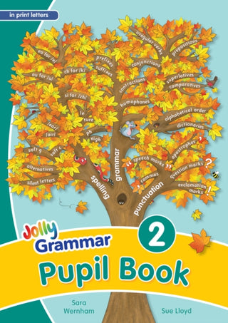 Cover image for 9781844143924 - Grammar 2 Pupil Book