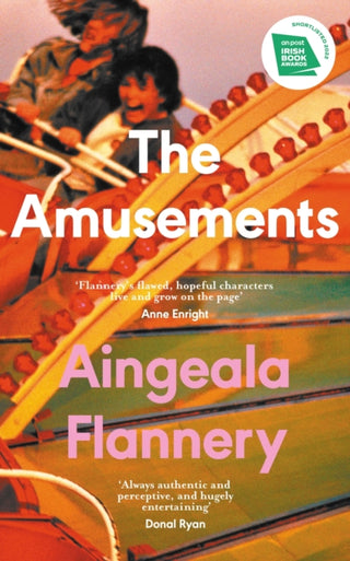Cover image for 9781844885879 - The Amusements
