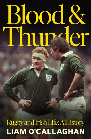 Cover image for 9781844886616 - Blood And Thunder