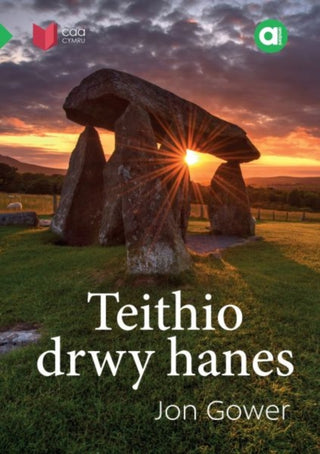 Cover image for 9781845216870 - Cyfres Amdani: Teithio drwy Hanes